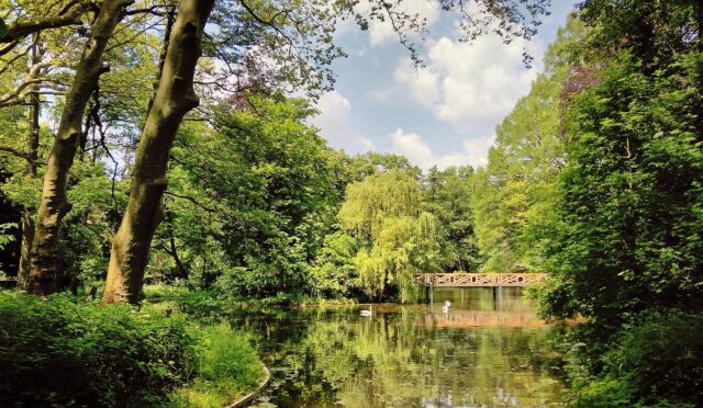 ataturk-arboretum-turkiyetips